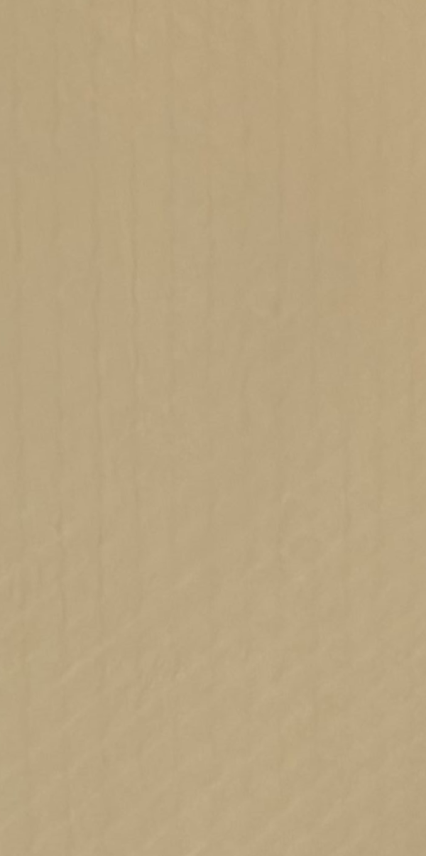 DSF8134